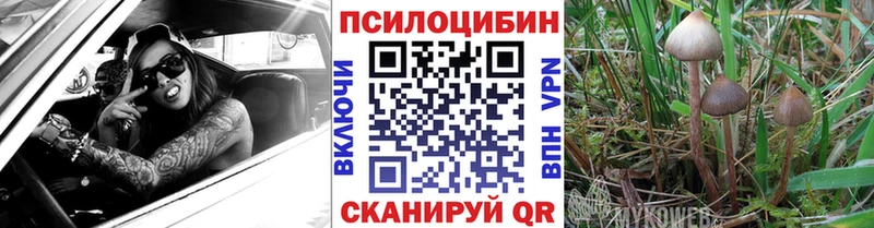 Псилоцибиновые грибы мухоморы  Купить  Дудинка 