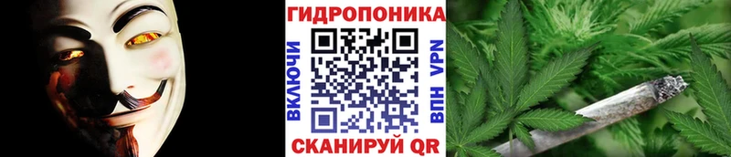 Купить закладки  Дудинка  Бошки марихуана Amnesia 